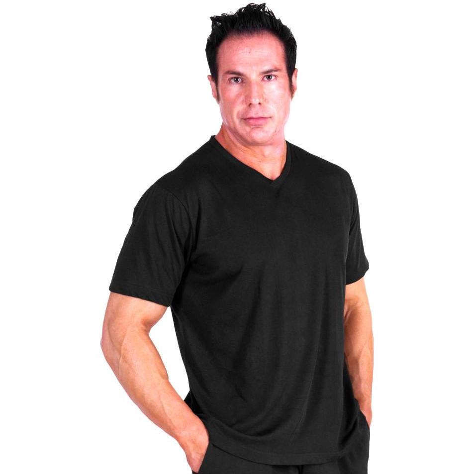 MEN'S MOISTURE WICKING V-NECK T-SHIRT 